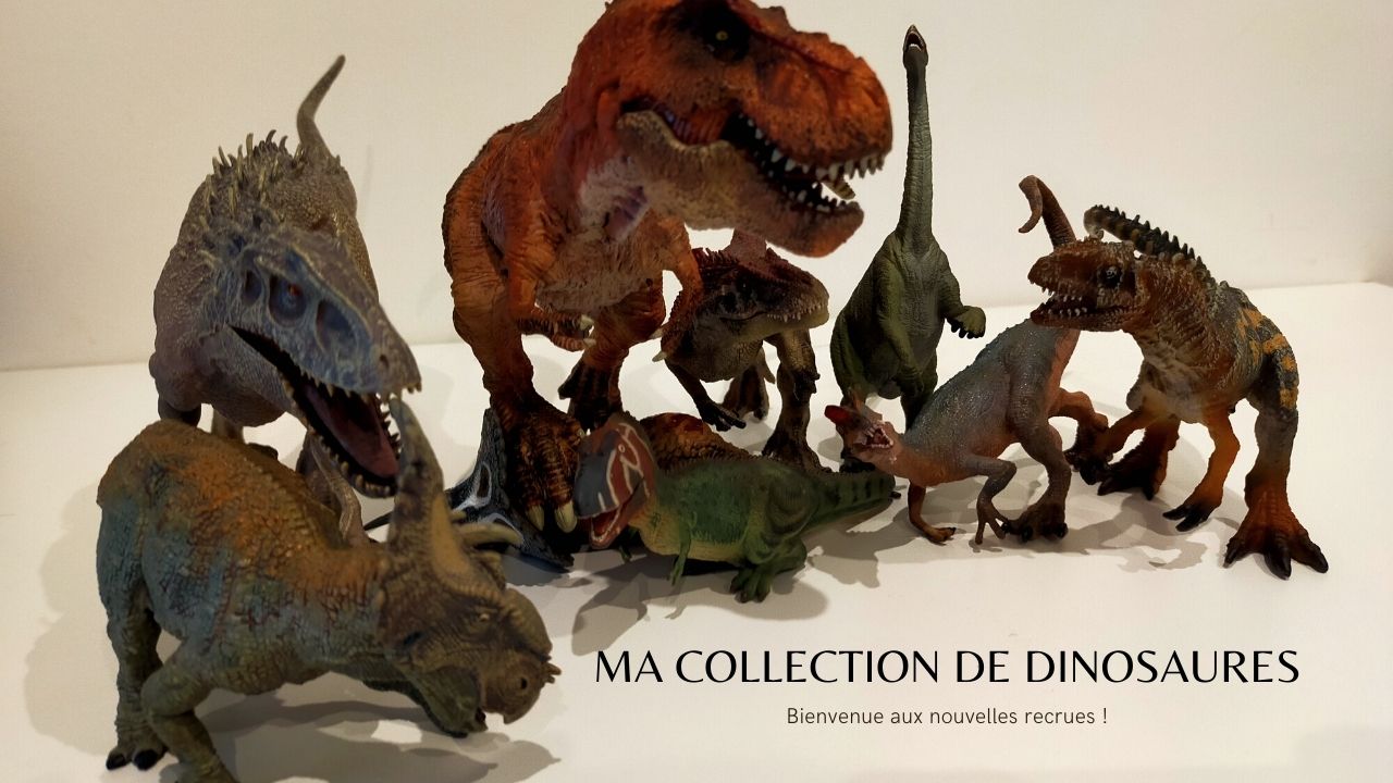 Ma collection de dinosaures Papo, Schleich, Safari, Collecta